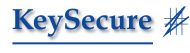 KeySecure logo